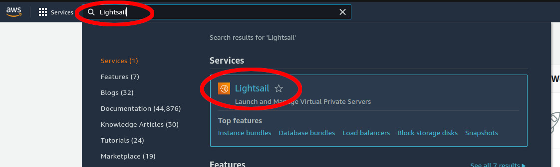 AWS Lightsail Service Search